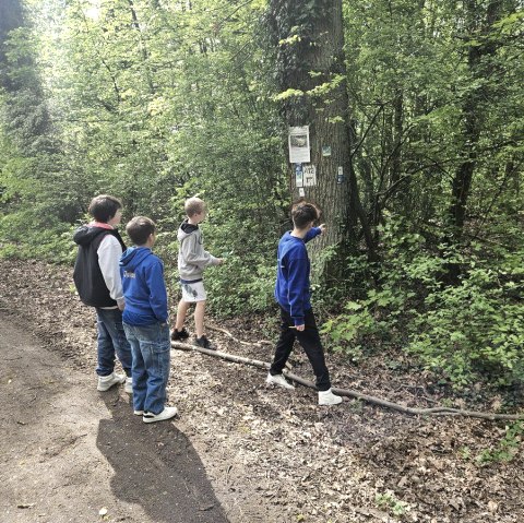 Frühlingswanderung, © PG Weilerswist Frühlingswanderung, © PG Weilerswist