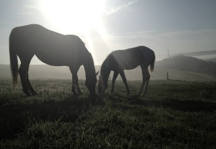 Besinnliche Zeit Hasenberghof, © Dr. Axe Stiftung Besinnliche Zeit Hasenberghof, © Dr. Axe Stiftung