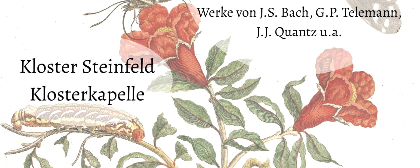 Veranstaltungsplakat, © Euphoria Barock Veranstaltungsplakat, © Euphoria Barock