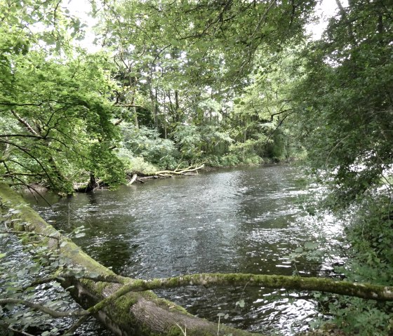 Rur-Idylle, © Eifel heimisch Rur-Idylle, © Eifel heimisch