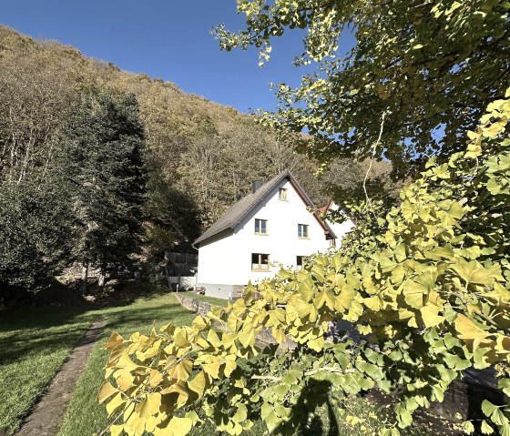 "Indian Summer" mit Ginkgo Biloba, © Nordeifel Tourismus GmbH 6 Ferienhaus Glinkgo Biloba "Indian Summer" mit Ginkgo Biloba, © Nordeifel Tourismus GmbH 6 Ferienhaus Glinkgo Biloba