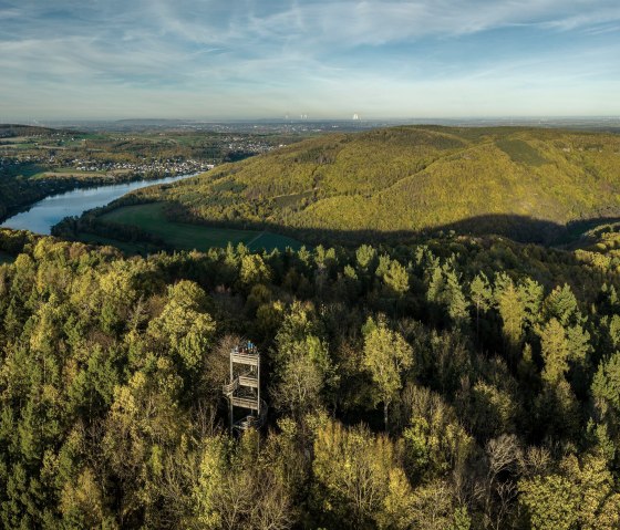 Riot control tower in the forest, © Eifel Tourismus GmbH, Dominik Ketz Riot control tower in the forest, © Eifel Tourismus GmbH, Dominik Ketz