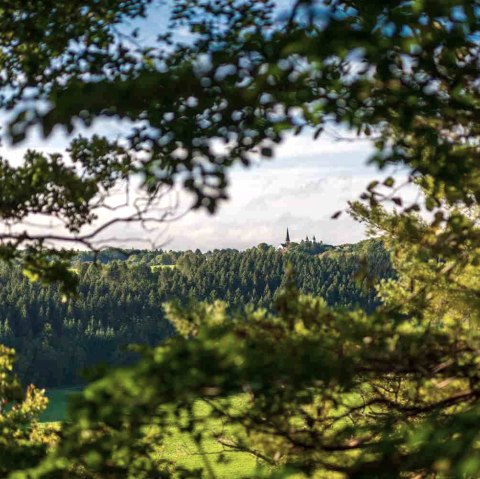 Ausblick Eifel-Blick, © Paul Meixner Ausblick Eifel-Blick, © Paul Meixner