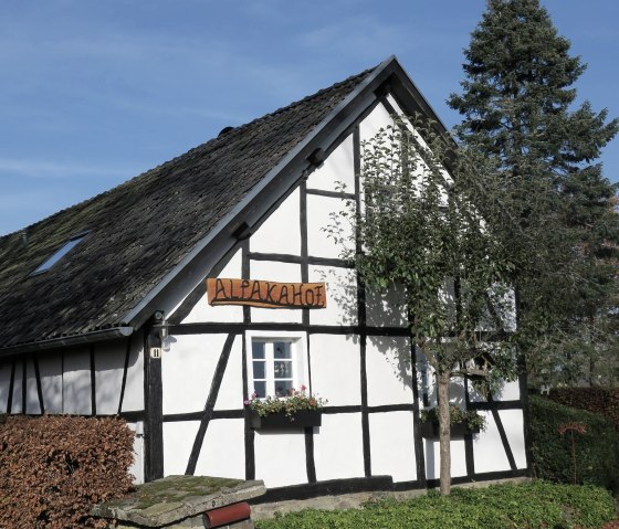 Front, © Alpaka Kleinfrankreich Front, © Alpaka Kleinfrankreich