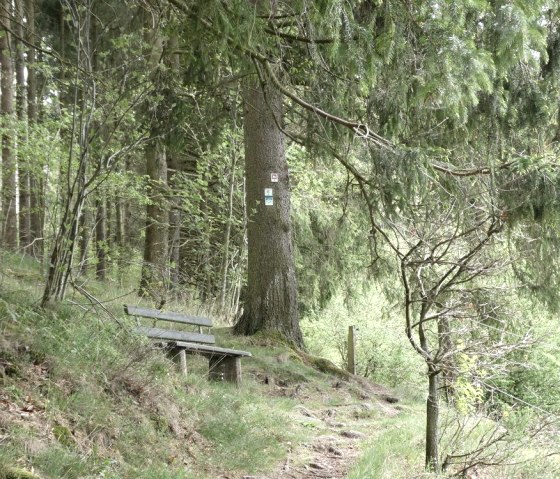 Wurzelwege, © Guido Hendle Wurzelwege, © Guido Hendle