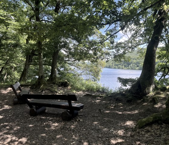 IMG_6375, © Rureifel-Tourismus e.V., Dennis Winands IMG_6375, © Rureifel-Tourismus e.V., Dennis Winands