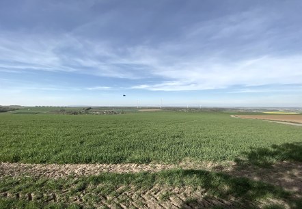 Weitsichten in der Bördelandschaft, © Rureifel-Tourismus e.V. Weitsichten in der Bördelandschaft, © Rureifel-Tourismus e.V.