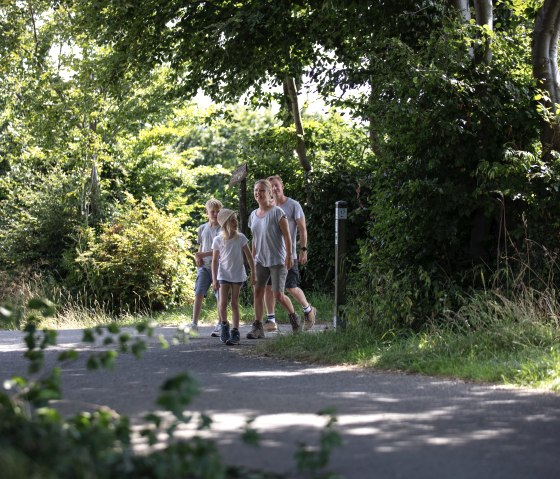 Flurheckenweg Eicherscheid, © Eifel Tourismus GmbH, Tobias Vollmer Flurheckenweg Eicherscheid, © Eifel Tourismus GmbH, Tobias Vollmer