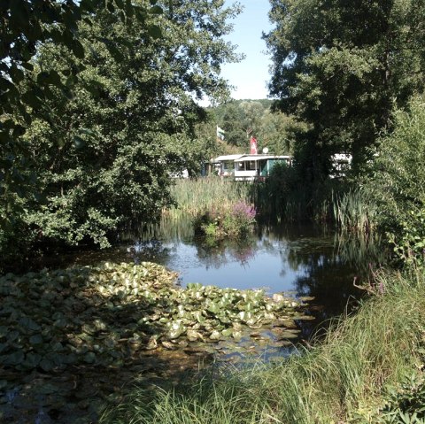 Teich am Campingplatz, © Campingplatz Felsenblick Teich am Campingplatz, © Campingplatz Felsenblick