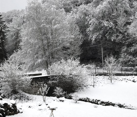 Winter Landscape, © C. Wolter Winter Landscape, © C. Wolter