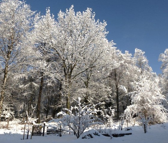 Winter wonderland Winter wonderland
