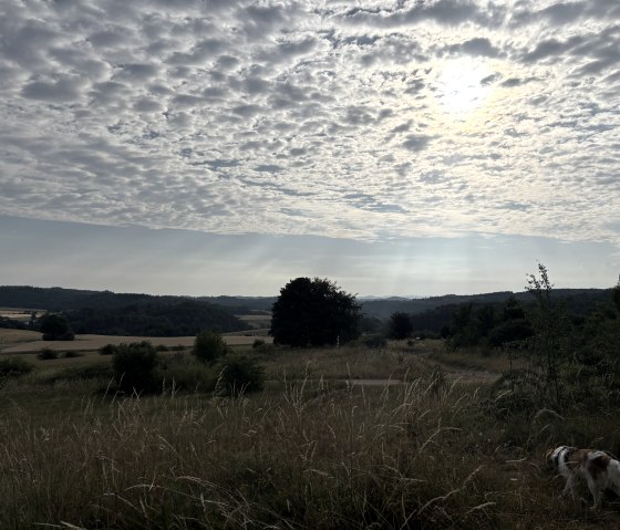 A Summer Morning in Rohr, © C. Wolter A Summer Morning in Rohr, © C. Wolter