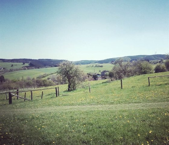 Ausblick, © Nordeifel Tourismus GmbH & Ferienwohnung Zur schönen Aussicht Ausblick, © Nordeifel Tourismus GmbH & Ferienwohnung Zur schönen Aussicht