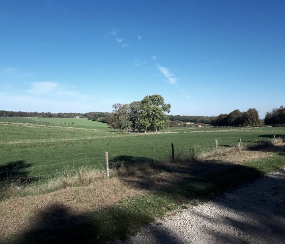 Ausblick, © Jens Mieckley Ausblick, © Jens Mieckley