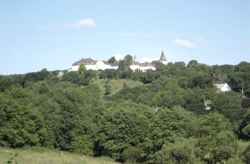 Dr. Axe Stiftung Dr. Axe Stiftung