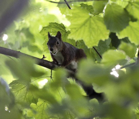 DSC_0039 DSC_0039