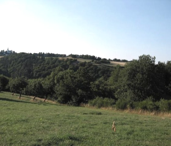 Eifel landscape, © Nordeifel Tourismus GmbH & Dietmar Frank Eifel landscape, © Nordeifel Tourismus GmbH & Dietmar Frank