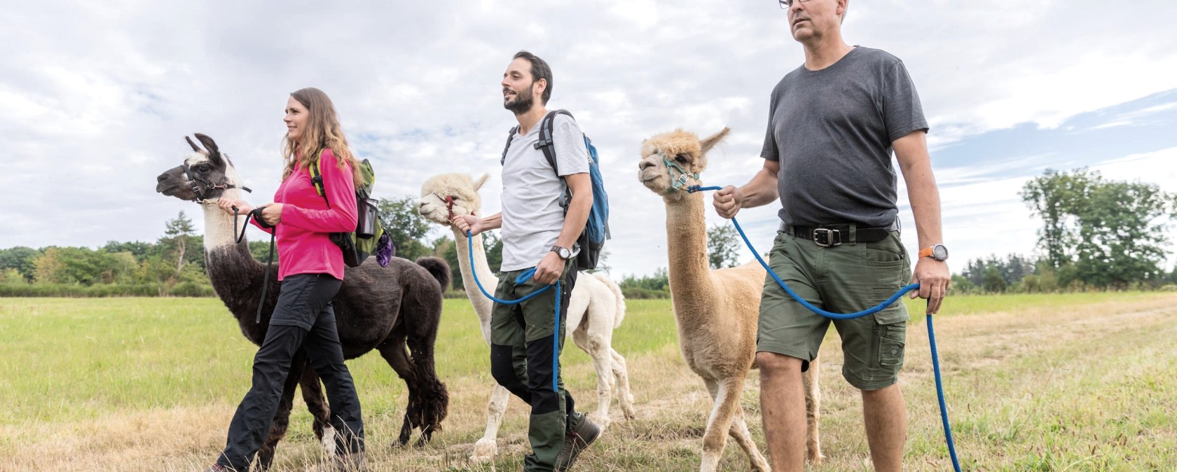 Alpaka und Lama Wanderung, © Eifel Tourismus GmbH, AR - shapefruit AG Alpaka und Lama Wanderung, © Eifel Tourismus GmbH, AR - shapefruit AG