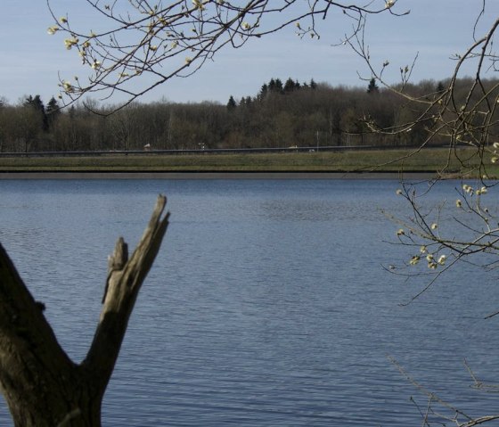 CIMG5865, © Nordeifel Tourismus GmbH & Feirenhaus Höppches CIMG5865, © Nordeifel Tourismus GmbH & Feirenhaus Höppches