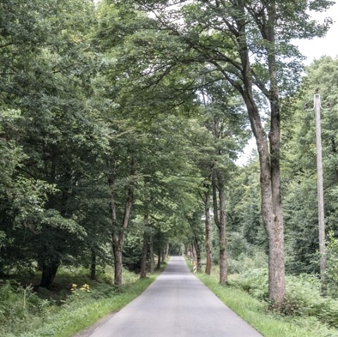 Ruhiger Abschnitt, © some.oner Ruhiger Abschnitt, © some.oner