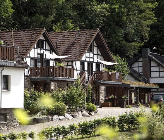 Das Schilsbachtal, © Daniel Willems Das Schilsbachtal, © Daniel Willems