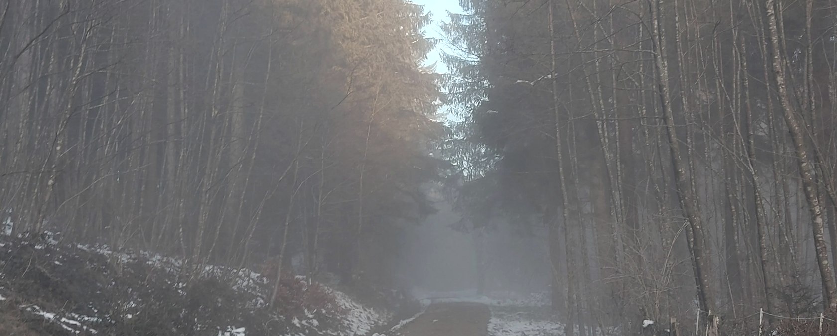 Januarwaldweg (co) Theißen-Braun Januarwaldweg (co) Theißen-Braun