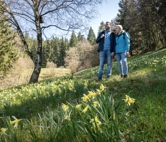 Wandern auf der Narzissenroute, © Städteregion Aachen, Dominik Ketz Wandern auf der Narzissenroute, © Städteregion Aachen, Dominik Ketz