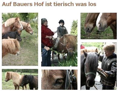 Tierisch was los, © Ferienhof Bauer Tierisch was los, © Ferienhof Bauer