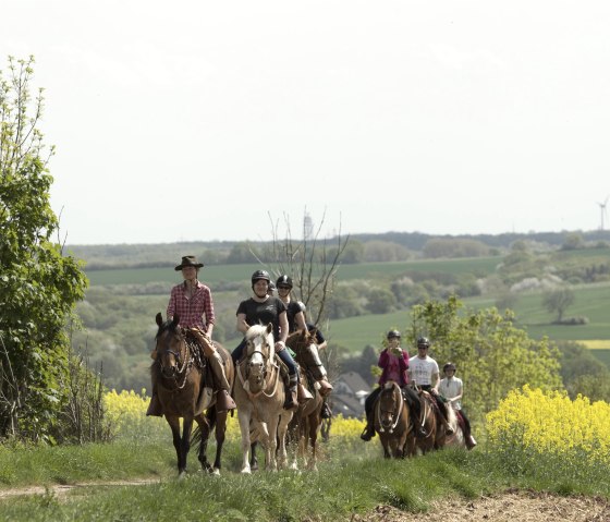 Horseback Riding in a Rapeseed Field, © Natürlich zu Pferd Horseback Riding in a Rapeseed Field, © Natürlich zu Pferd