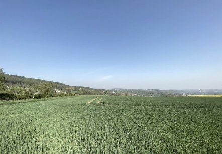 Bördelandschaft mit weitem Blick, © Rureifel-Tourimus e.V. Bördelandschaft mit weitem Blick, © Rureifel-Tourimus e.V.