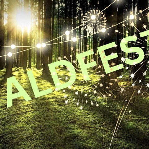 Waldfest, © TV Buir Waldfest, © TV Buir