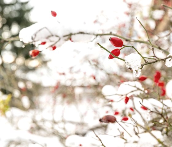Winter Vibes, © Frank Wiesen Winter Vibes, © Frank Wiesen