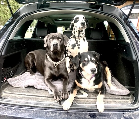 The three inseparable. The three inseparable.