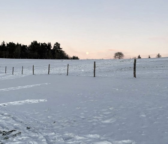 Winterlandschaft Winterlandschaft