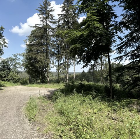 Archäologischer Wanderwege, © Rureifel-Tourismus e.V., Dennis Winands Archäologischer Wanderwege, © Rureifel-Tourismus e.V., Dennis Winands
