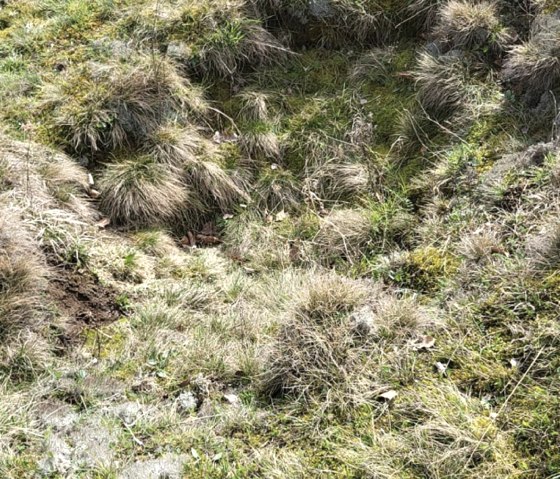 Natur, © Jens Mieckley Natur, © Jens Mieckley