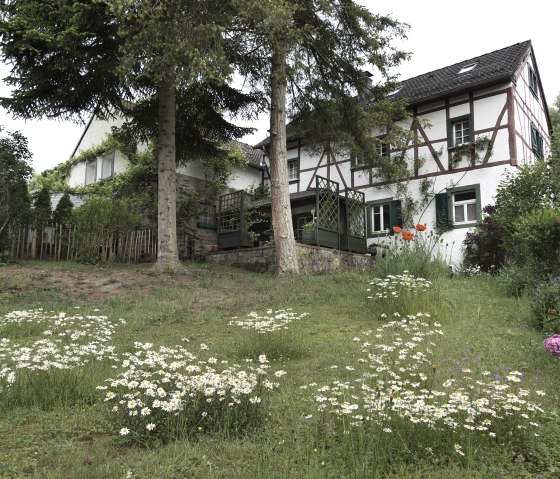 Garten_Haus, © Nordeifel Tourismus GmbH & Zum Goldenen Schaf Garten_Haus, © Nordeifel Tourismus GmbH & Zum Goldenen Schaf