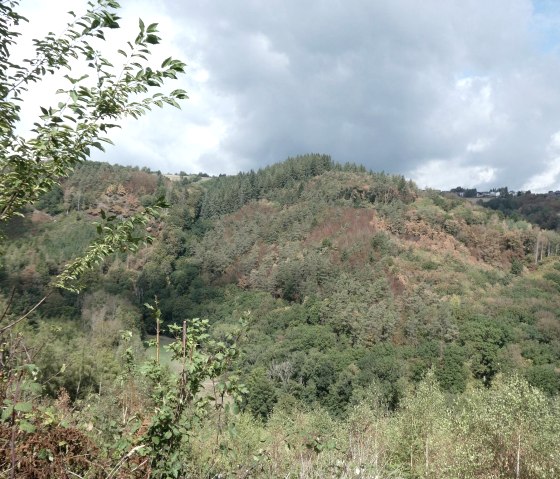 Aussicht, © Eifel heimisch Aussicht, © Eifel heimisch