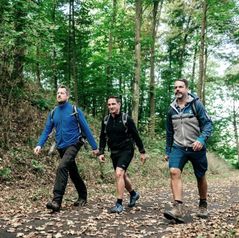 Wandergruppe im Herbstwald, © Paul Meixner Wandergruppe im Herbstwald, © Paul Meixner