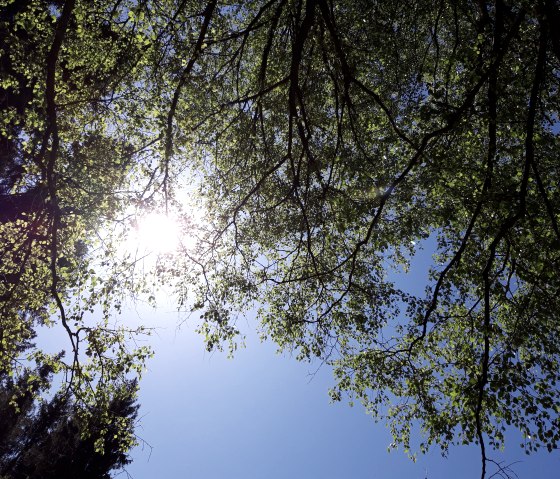 23 Rastplatz Oberer Steg Träumen unterm Blätterdach quer ccbysa Monschau-Touristik GmbH_Barbara Frohnhoff, © Monschau-Touristik GmbH, Barbara Frohnhoff 23 Rastplatz Oberer Steg Träumen unterm Blätterdach quer ccbysa Monschau-Touristik GmbH_Barbara Frohnhoff, © Monschau-Touristik GmbH, Barbara Frohnhoff