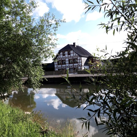 Schwanenweiher Höfen, © Monschau-Touristik GmbH, Barbara Frohnhoff Schwanenweiher Höfen, © Monschau-Touristik GmbH, Barbara Frohnhoff