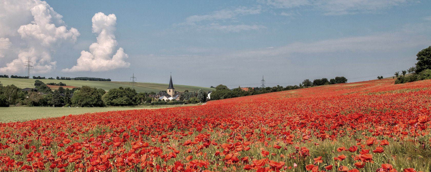 Blick auf Muldenau Blick auf Muldenau