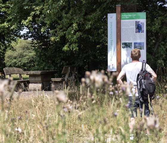 Flurheckenweg Eicherscheid, © Eifel Tourismus GmbH, Tobias Vollmer Flurheckenweg Eicherscheid, © Eifel Tourismus GmbH, Tobias Vollmer