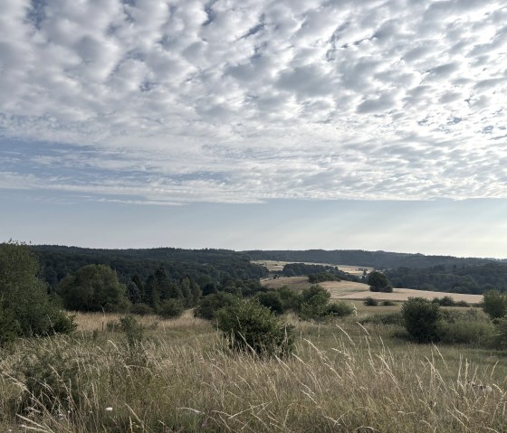 A Summer Morning in Rohr, © C. Wolter A Summer Morning in Rohr, © C. Wolter