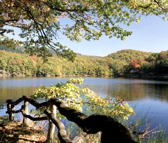 Rursee im Nationalpark Eifel, © M. Usadel Rursee im Nationalpark Eifel, © M. Usadel