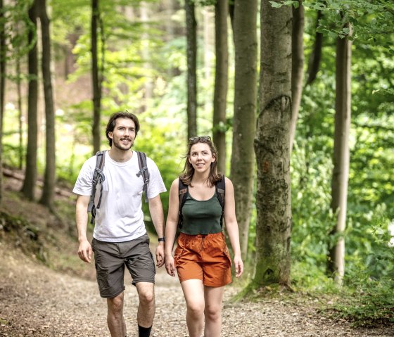 Wehebachtalsperre, © StädteRegion Aachen, Dominik Ketz Wehebachtalsperre, © StädteRegion Aachen, Dominik Ketz