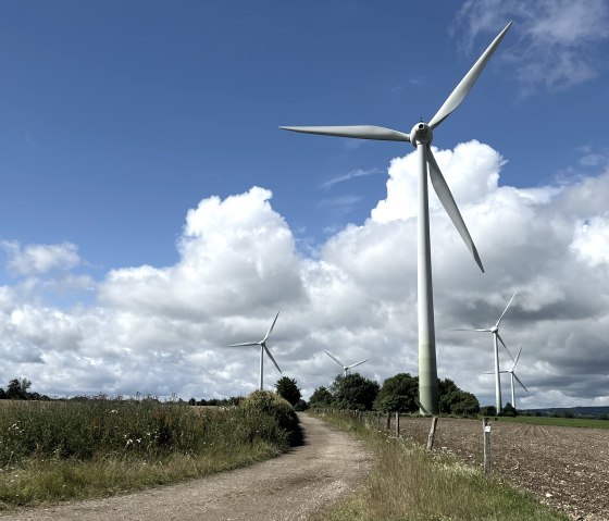 IMG_2158, © Rureifel-Tourismus, Michelle Wiesen IMG_2158, © Rureifel-Tourismus, Michelle Wiesen