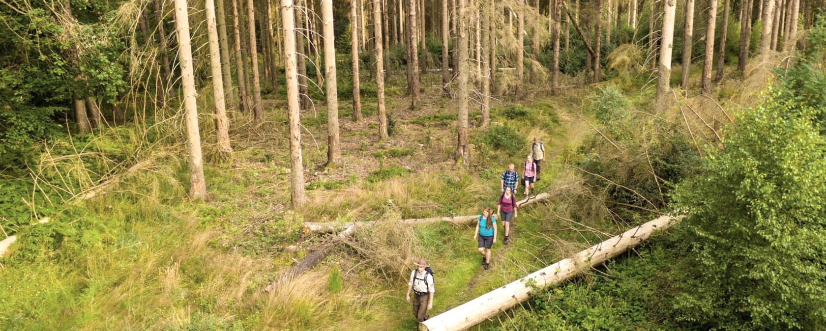 Wanderung mit einem Ranger, © D. Ketz Wanderung mit einem Ranger, © D. Ketz