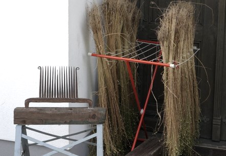 Flachs, © Barbara Mey Flachs, © Barbara Mey