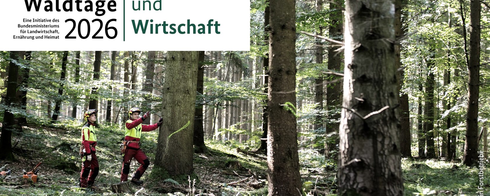 Forest Days 2026, © Fürst Wallerstein Forstbetriebe Forest Days 2026, © Fürst Wallerstein Forstbetriebe